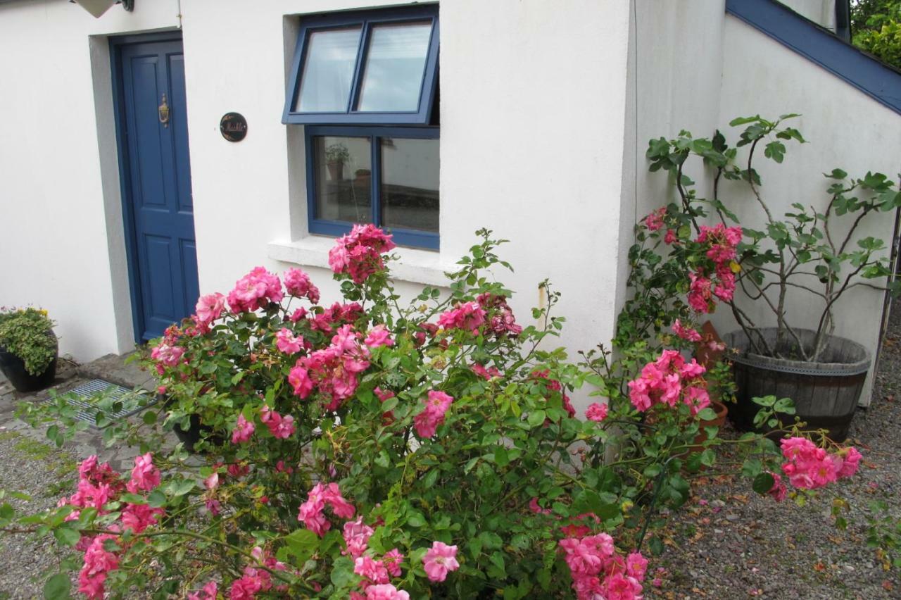 Muckle Flugga Villa Goleen Екстериор снимка